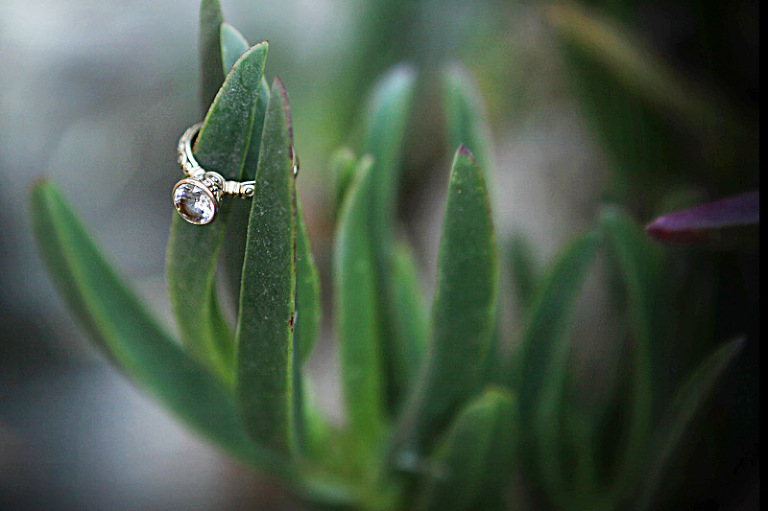 wedding photography san jose mike danen