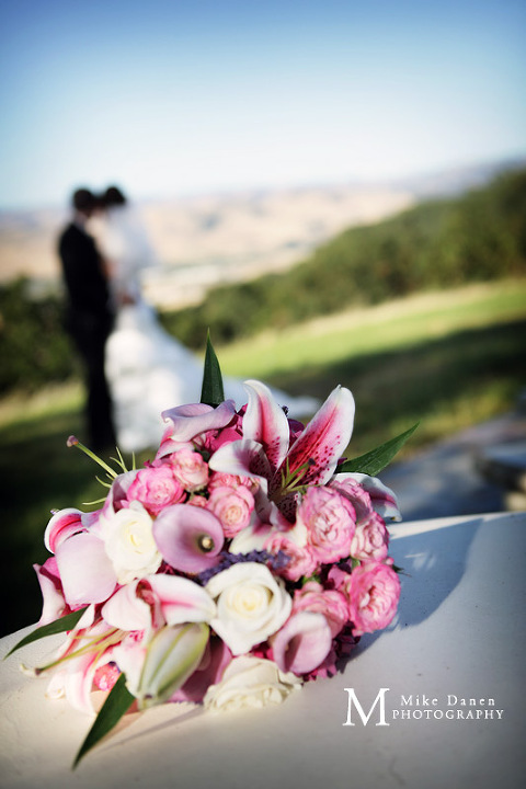 wedding photographer santa cruz morgan hill willow heights mike danen