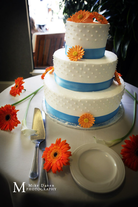 Nine by thirteen wedding cake photography Mike Danen