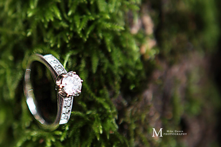 Regale Winery & Vineyards wedding photography los gatos Mike Danen