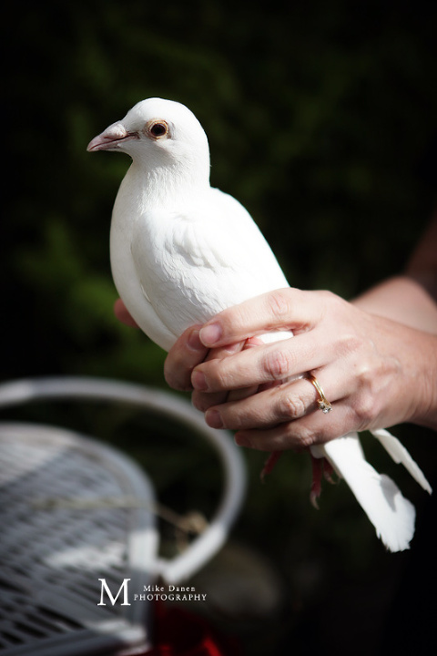 Central Coast Dove Releases wedding photographer Monterey Mike Danen