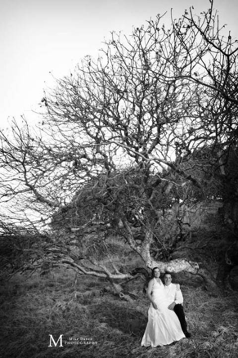 Petaluma Golf & Country Club wedding